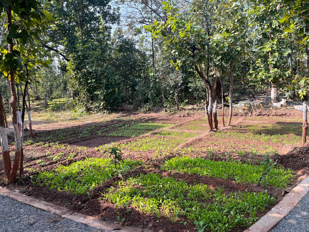 Luxury resort pool with palm trees at sunset